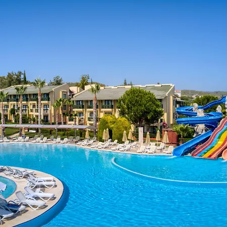 Oz Incekum & Okurcalar