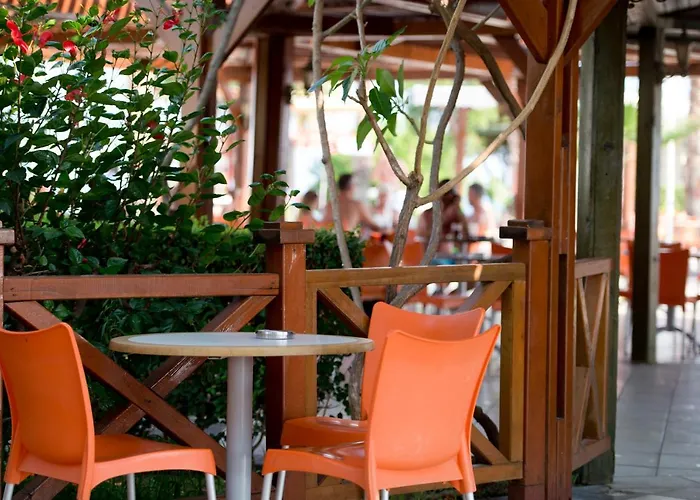 Oz Incekum & 5* Okurcalar